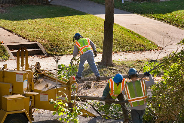 Best Lawn Watering Services  in Nicollet, MN